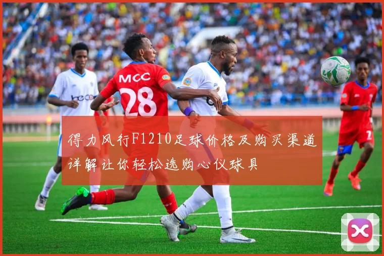 得力风行F1210足球价格及购买渠道详解让你轻松选购心仪球具