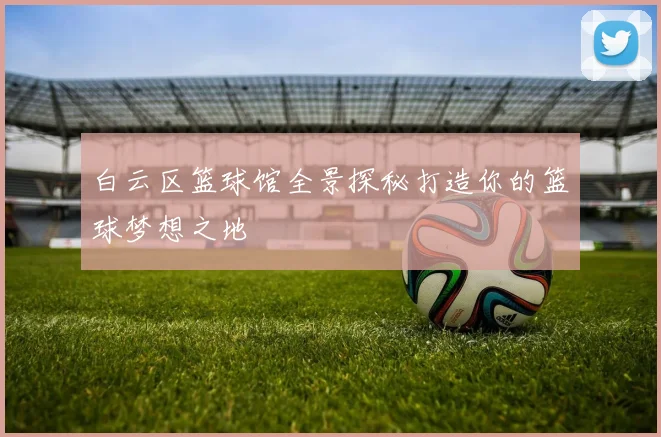 白云区篮球馆全景探秘打造你的篮球梦想之地