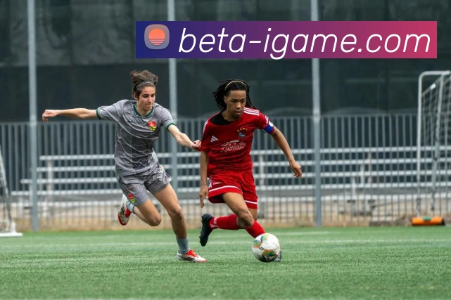 爱游戏平台生态图